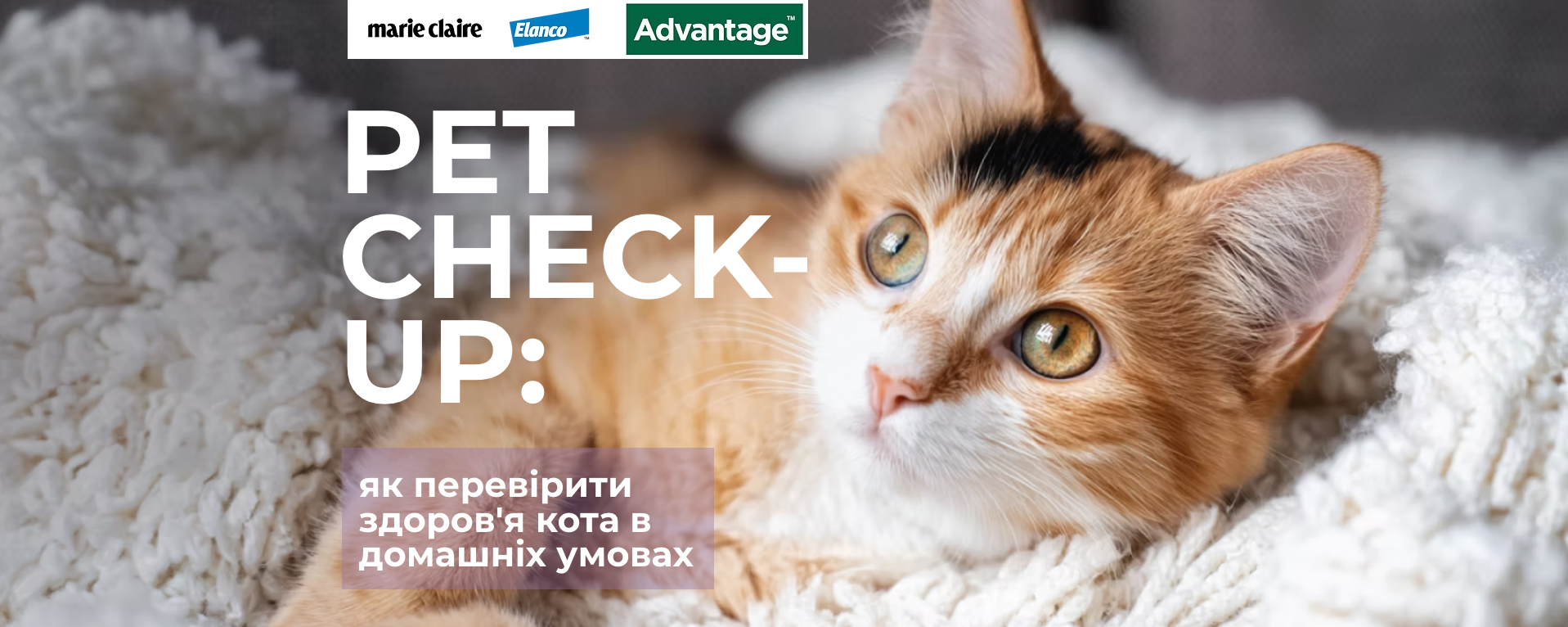 Pet Check-Up: партнерський спецпроєкт про здоров’я тварин