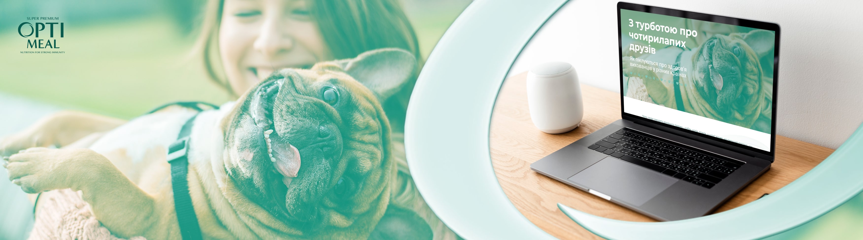 OPTIMEAL: МІЖНАРОДНІ ПРОЄКТИ З БЛОГЕРАМИ (ПОЛЬЩА, РУМУНІЯ, МОЛДОВА)