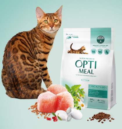 Спільний міжнародний проєкт з Optimeal та naprobu.ua для Румунії