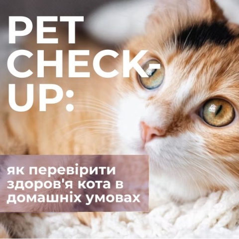 Pet Check-Up: партнерський спецпроєкт про здоров’я тварин